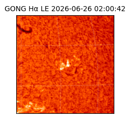 gong - 2026-06-26T02:00:42