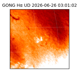 gong - 2026-06-26T03:01:02