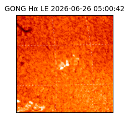 gong - 2026-06-26T05:00:42