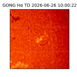 gong - 2026-06-26T10:00:22