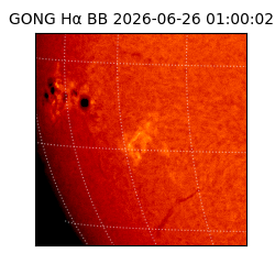 gong - 2026-06-26T01:00:02