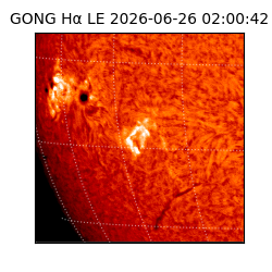 gong - 2026-06-26T02:00:42
