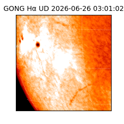 gong - 2026-06-26T03:01:02