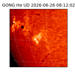 gong - 2026-06-26T08:12:02