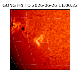 gong - 2026-06-26T11:00:22