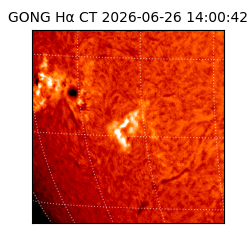 gong - 2026-06-26T14:00:42