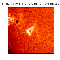 gong - 2026-06-26T20:00:42