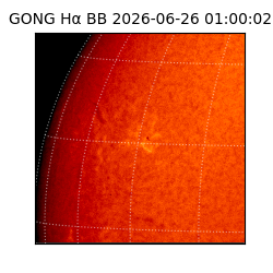 gong - 2026-06-26T01:00:02