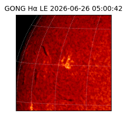 gong - 2026-06-26T05:00:42