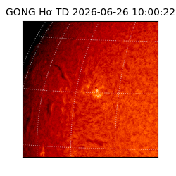 gong - 2026-06-26T10:00:22