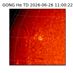 gong - 2026-06-26T11:00:22