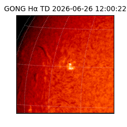 gong - 2026-06-26T12:00:22