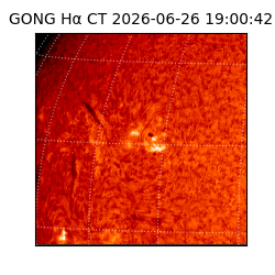 gong - 2026-06-26T19:00:42