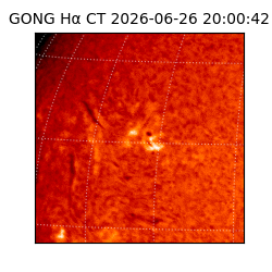 gong - 2026-06-26T20:00:42