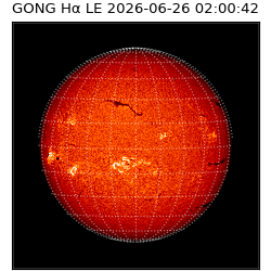 gong - 2026-06-26T02:00:42