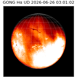 gong - 2026-06-26T03:01:02