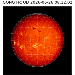 gong - 2026-06-26T08:12:02