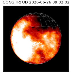gong - 2026-06-26T09:02:02