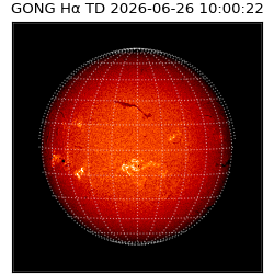 gong - 2026-06-26T10:00:22