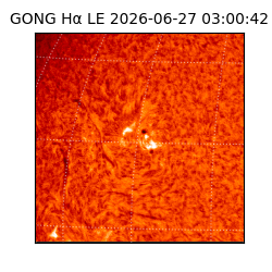 gong - 2026-06-27T03:00:42