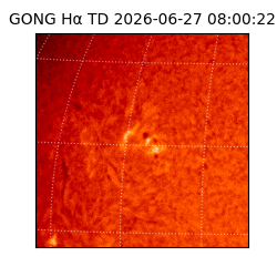 gong - 2026-06-27T08:00:22