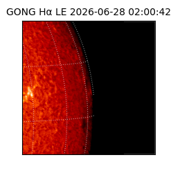 gong - 2026-06-28T02:00:42