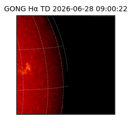gong - 2026-06-28T09:00:22