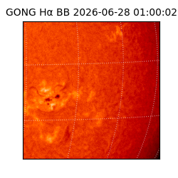 gong - 2026-06-28T01:00:02