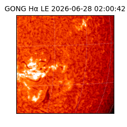gong - 2026-06-28T02:00:42