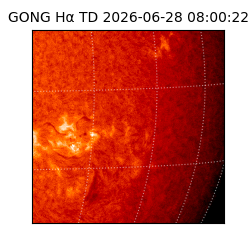 gong - 2026-06-28T08:00:22