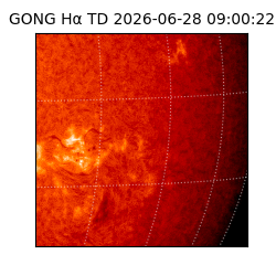 gong - 2026-06-28T09:00:22