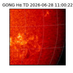 gong - 2026-06-28T11:00:22