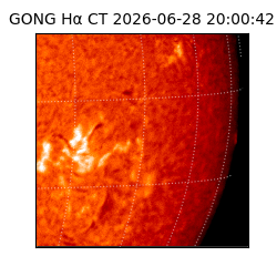 gong - 2026-06-28T20:00:42