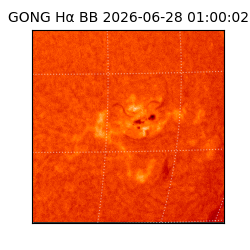 gong - 2026-06-28T01:00:02