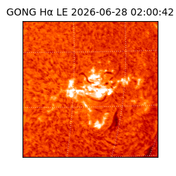 gong - 2026-06-28T02:00:42
