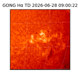 gong - 2026-06-28T09:00:22