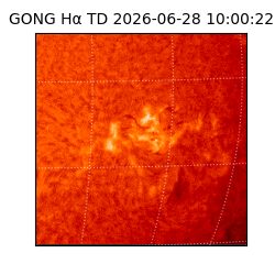 gong - 2026-06-28T10:00:22