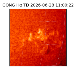 gong - 2026-06-28T11:00:22