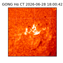 gong - 2026-06-28T18:00:42