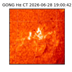 gong - 2026-06-28T19:00:42