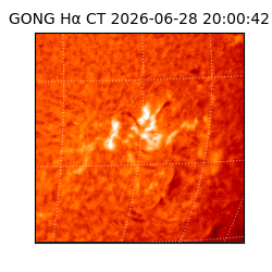 gong - 2026-06-28T20:00:42