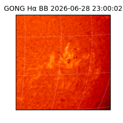 gong - 2026-06-28T23:00:02