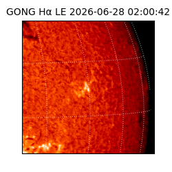gong - 2026-06-28T02:00:42