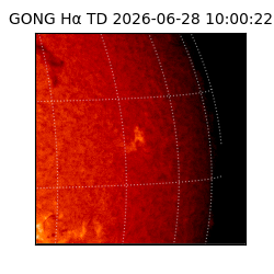 gong - 2026-06-28T10:00:22