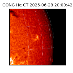 gong - 2026-06-28T20:00:42