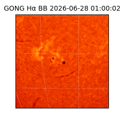 gong - 2026-06-28T01:00:02