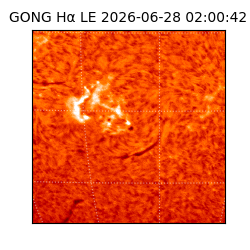 gong - 2026-06-28T02:00:42