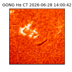 gong - 2026-06-28T14:00:42