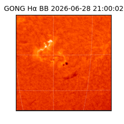 gong - 2026-06-28T21:00:02