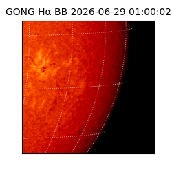 gong - 2026-06-29T01:00:02